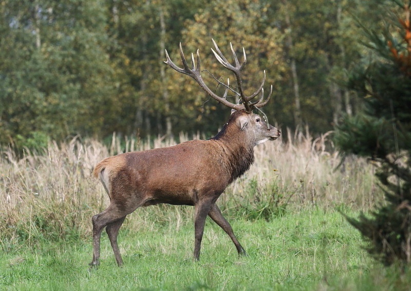 Fotografie: 
Hledn