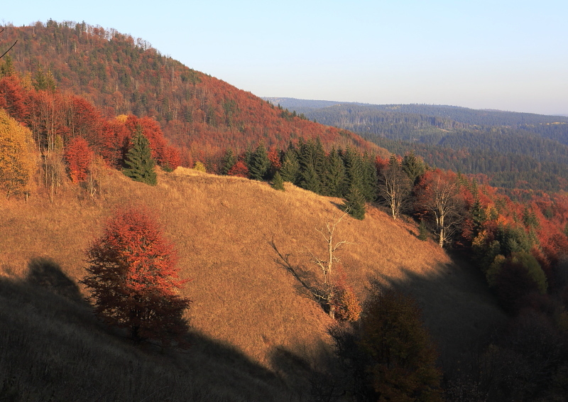 Fotografie: 
Podzimn dbny od kortka