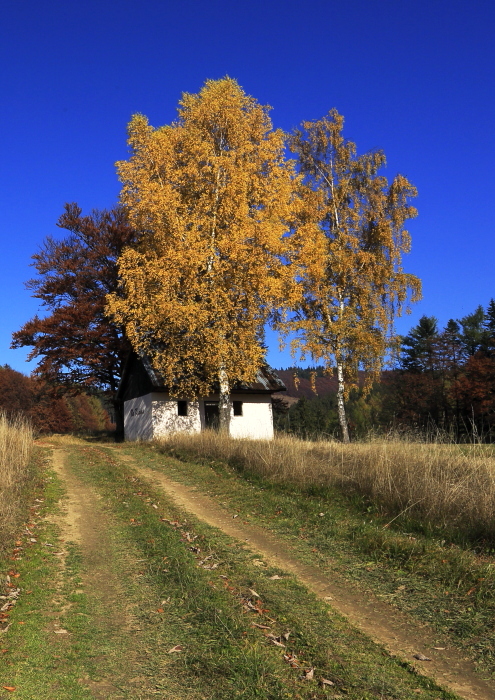 Fotografie: 
Podzimn toulky II