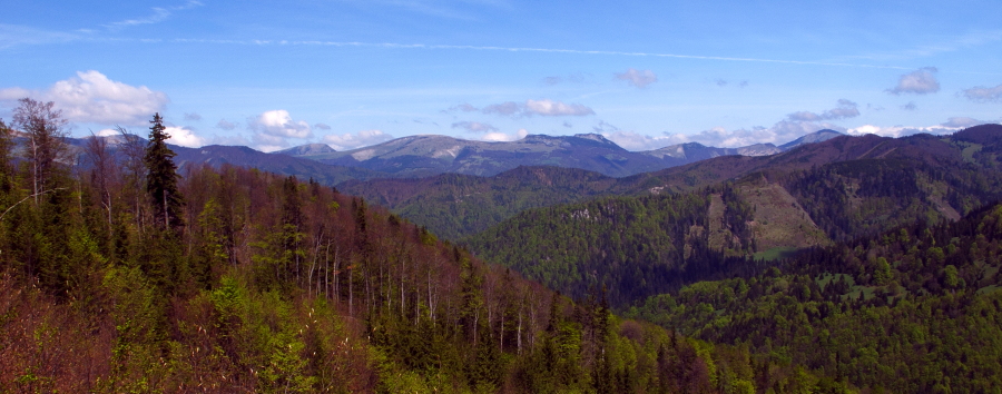 Fotografie: 
Krajina moj pohody