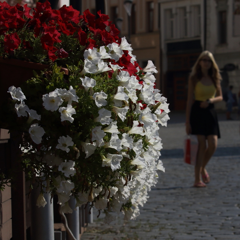 Fotografie: 
Olomoucké inspirace VII