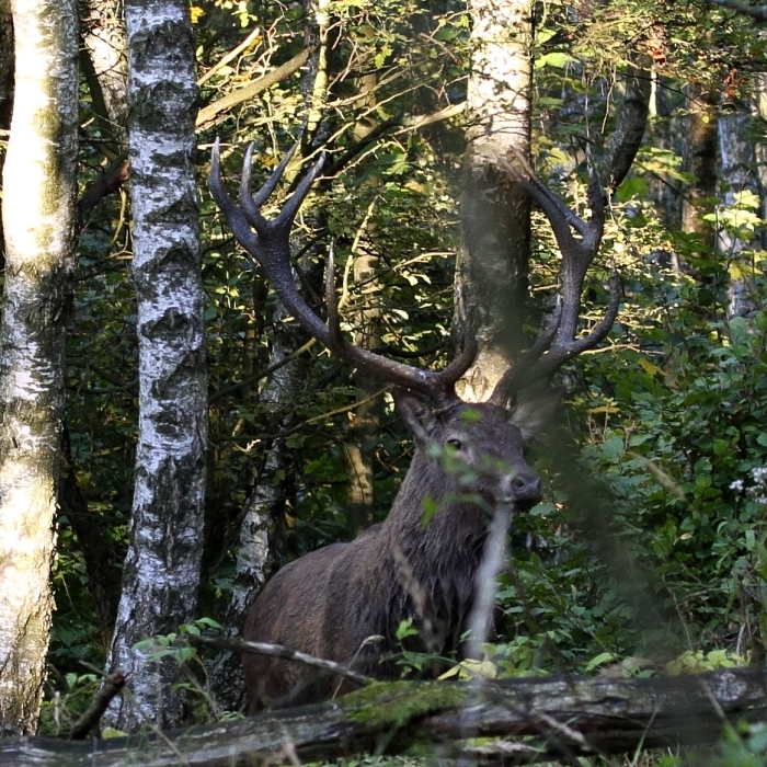 Fotografie: 
Nco pro znalce I