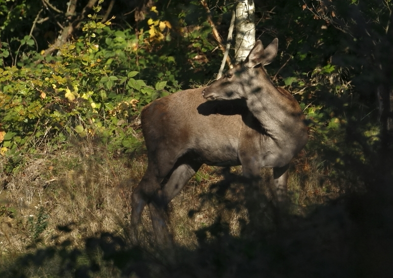 Fotografie: 
Konec je IV