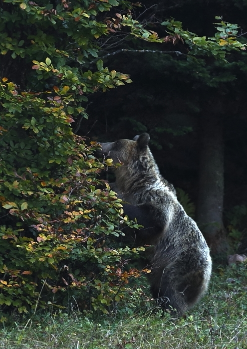 Fotografie: 
Pohled do fotopasti, ale snmek se nekon.