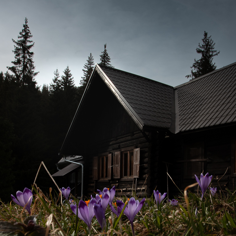 Fotografie: 
Hledn novch lokalit I