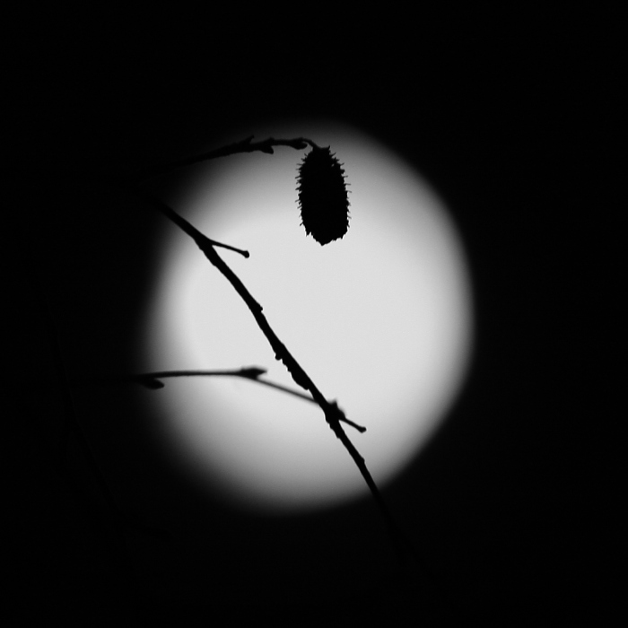 Fotografie: 
Ped plkem