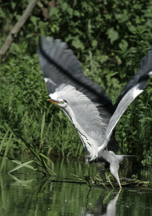 Fotografie: 
Pod sukn