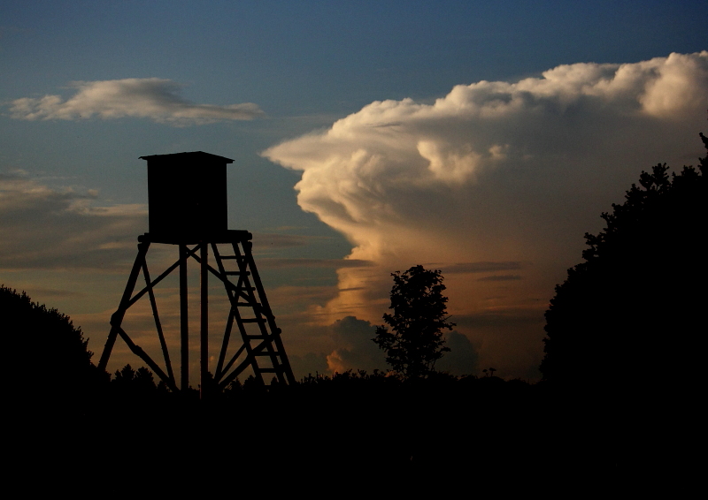 Fotografie: 
Ped bou