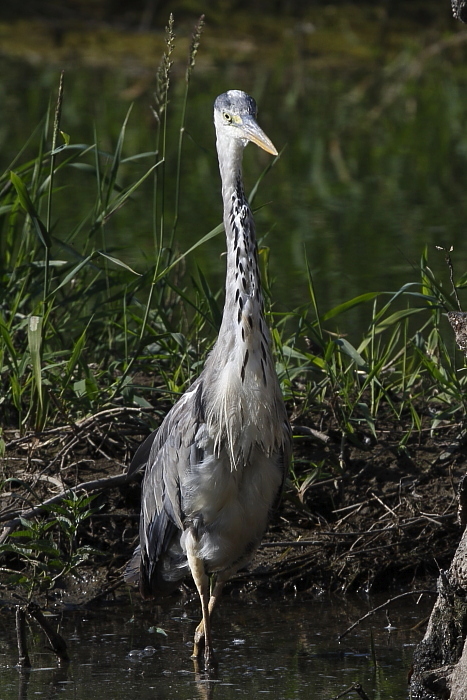 Fotografie: 
Kdy je poteba se rozhldnout...