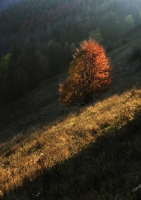 Zobrazit fotografii Podzimn toulky I