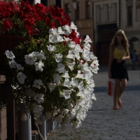Olomouck inspirace VII