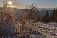 Zobrazit fotografii Svtn na medvd louce