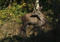 Zobrazit fotografii Konec je IV