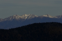 Zobrazit fotografii V dli jsou Rohe