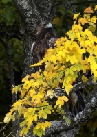 Zobrazit fotografii S nadhledem