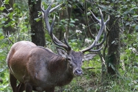 Zobrazit fotografii A do objektivu