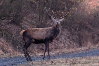 Zobrazit fotografii 