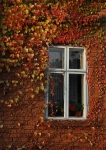 Zobrazit fotografii Podzimn oknko