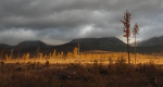 Zobrazit fotografii Hoc Tatry