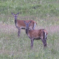 Zobrazit fotografii Nechtn pozornost